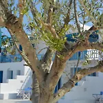 White Blue & *