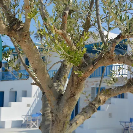 White Blue & *